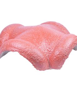 4 Way Apex (Round) Tile Red