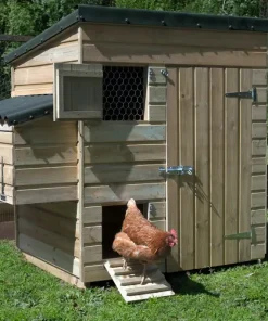 Forest Large Hen House