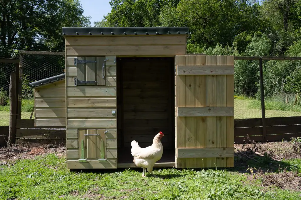 Forest Large Hen House - Image 6